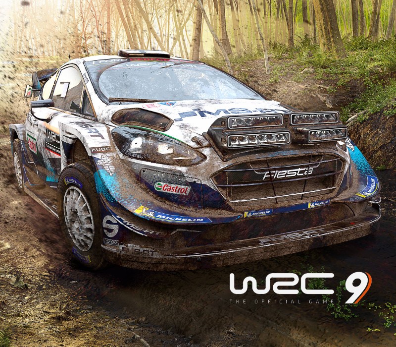 WRC 9 FIA World Rally Championship PC Epic Games CD Key