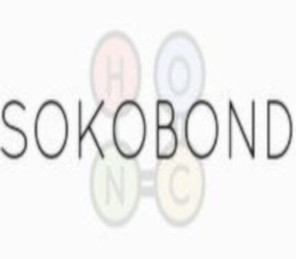 Sokobond PC Steam CD Key