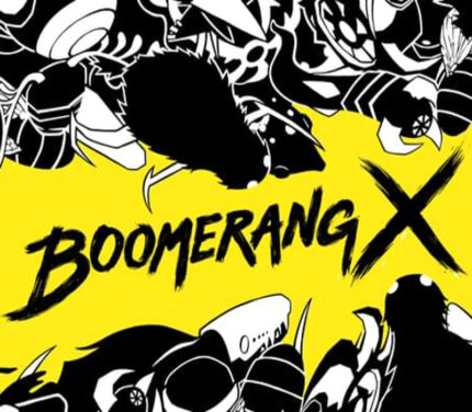 Boomerang X Steam CD Key