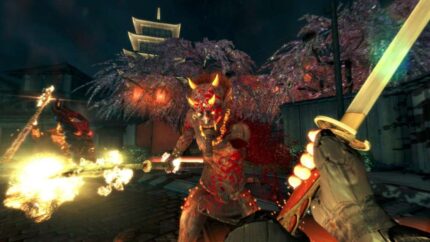 Shadow Warrior Special Edition Steam CD Key